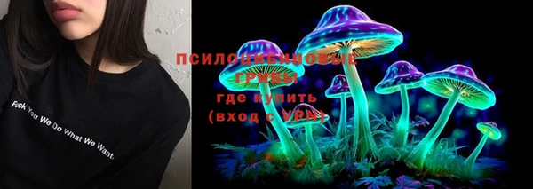 амф Нефтекумск