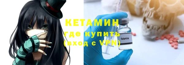 индика Няндома
