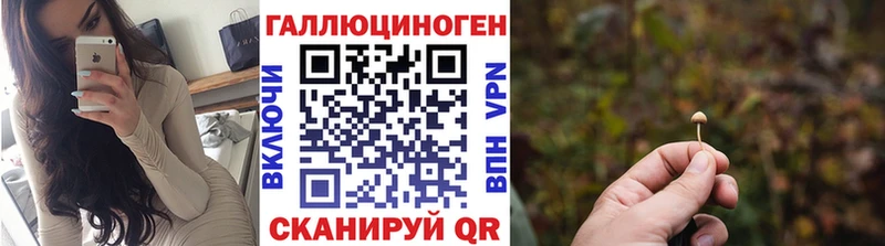 маркетплейс Telegram  Коммунар  Псилоцибиновые грибы GOLDEN TEACHER 