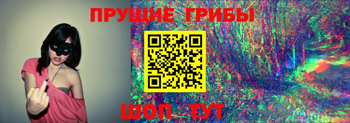 Псилоцибиновые грибы Psilocybine cubensis  Коммунар 