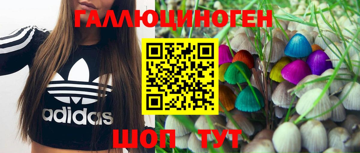 Галлюциногенные грибы мухоморы Коммунар