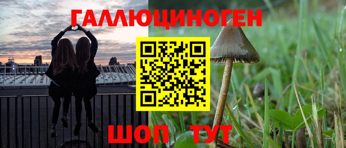Галлюциногенные грибы мицелий  Вход с VPN  Псилоцибиновые грибы Psilocybe  Коммунар 