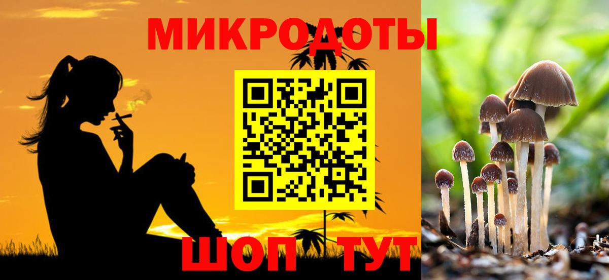 Псилоцибиновые грибы MAGIC MUSHROOMS Коммунар
